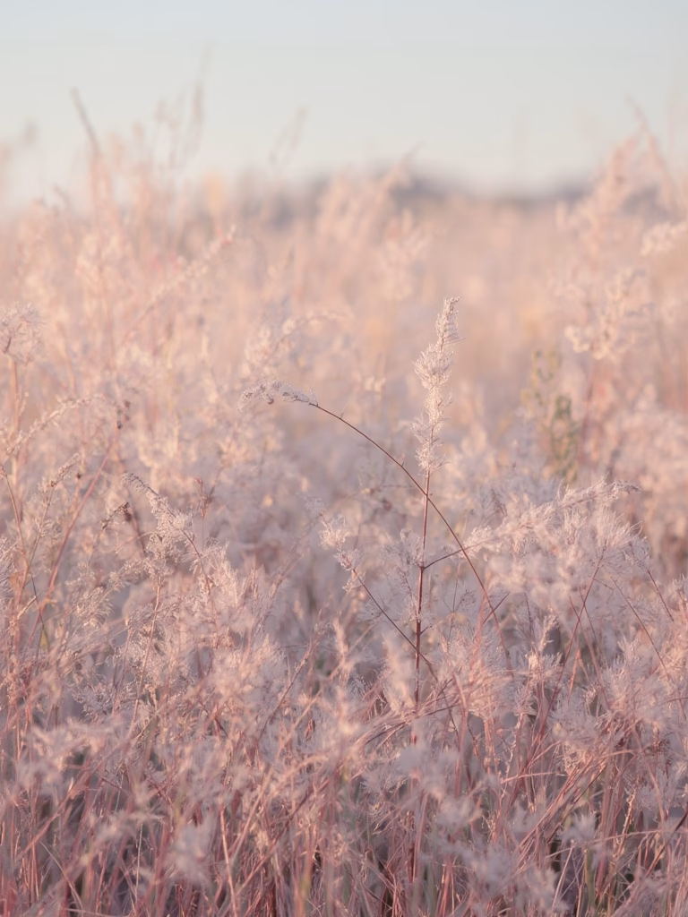 102 ThreeWords Quotes for gentle growth